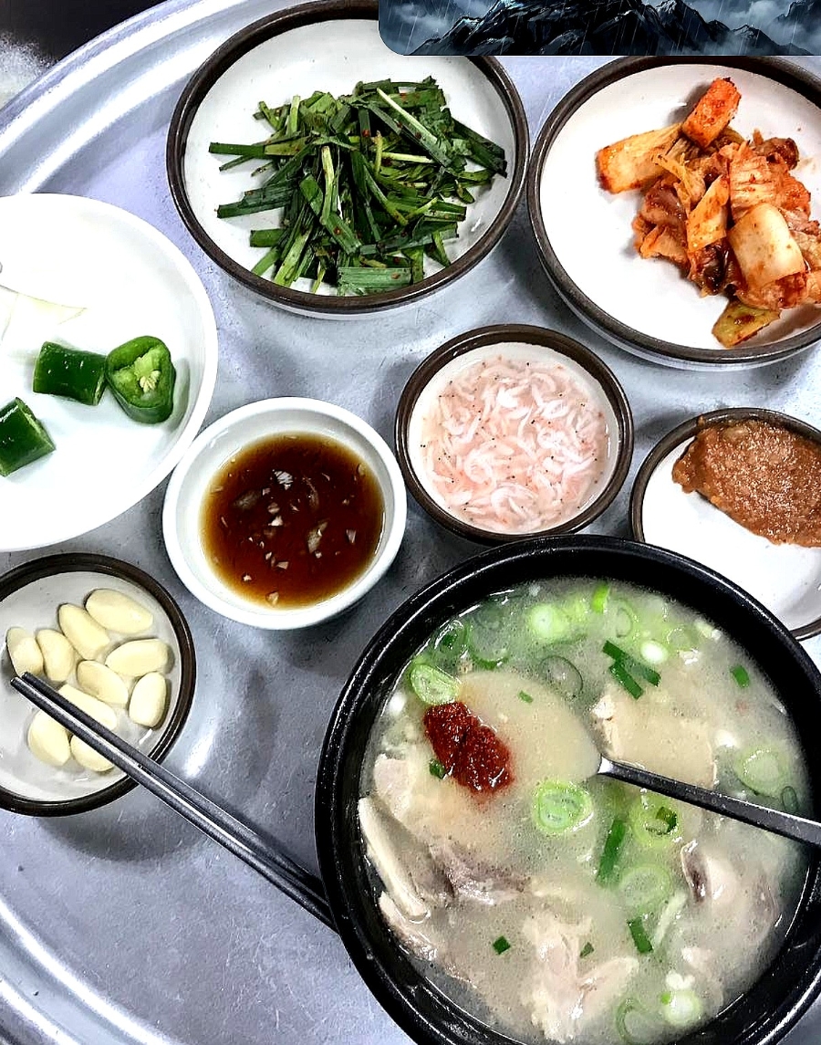 송 사진 1