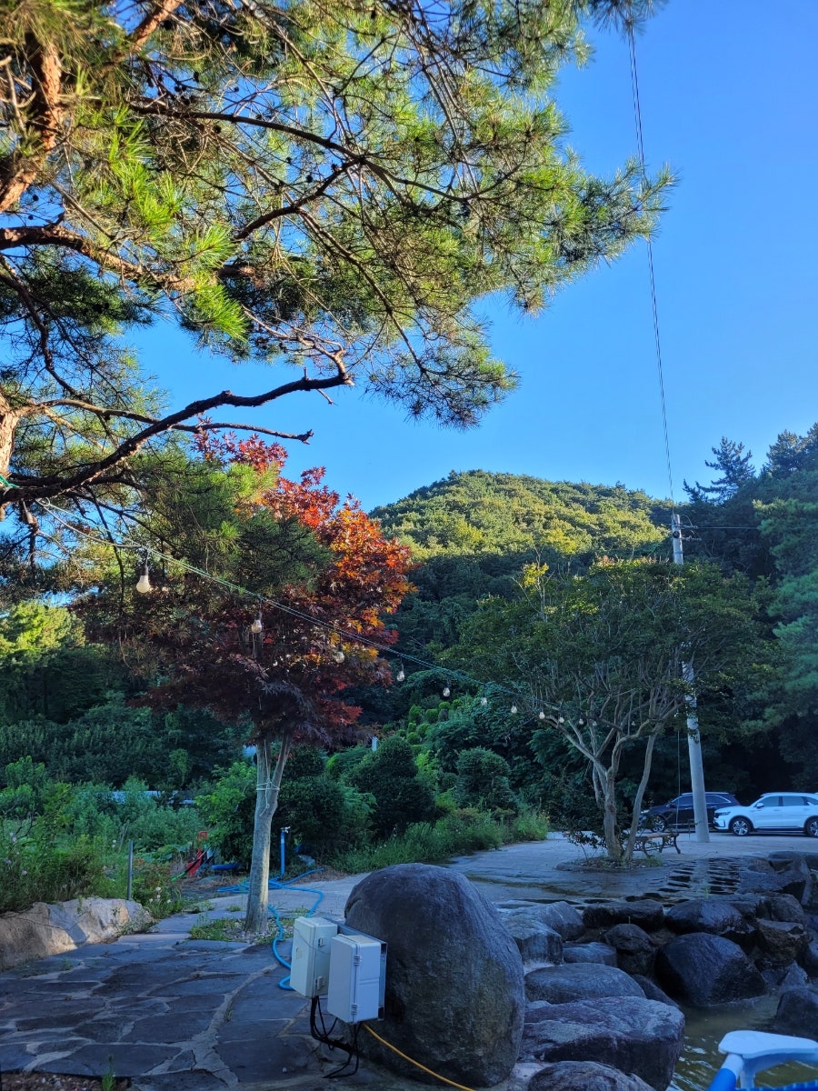 별이내리는집 사진 4