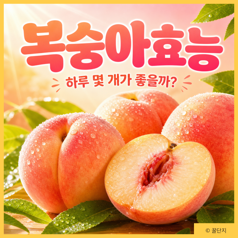 복숭아 효능 5가지, 여름에 꼭 먹어야 하는 이유! 영양성분 먹는법 부작용