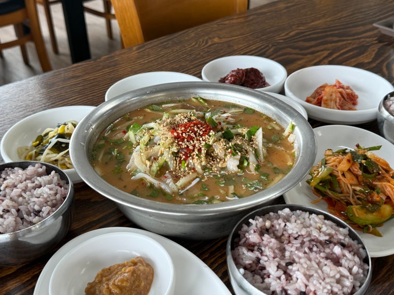 [제주 맛집] 서귀포 보목 해녀의 집 | 도민맛집 된장 물회 솔직 후기