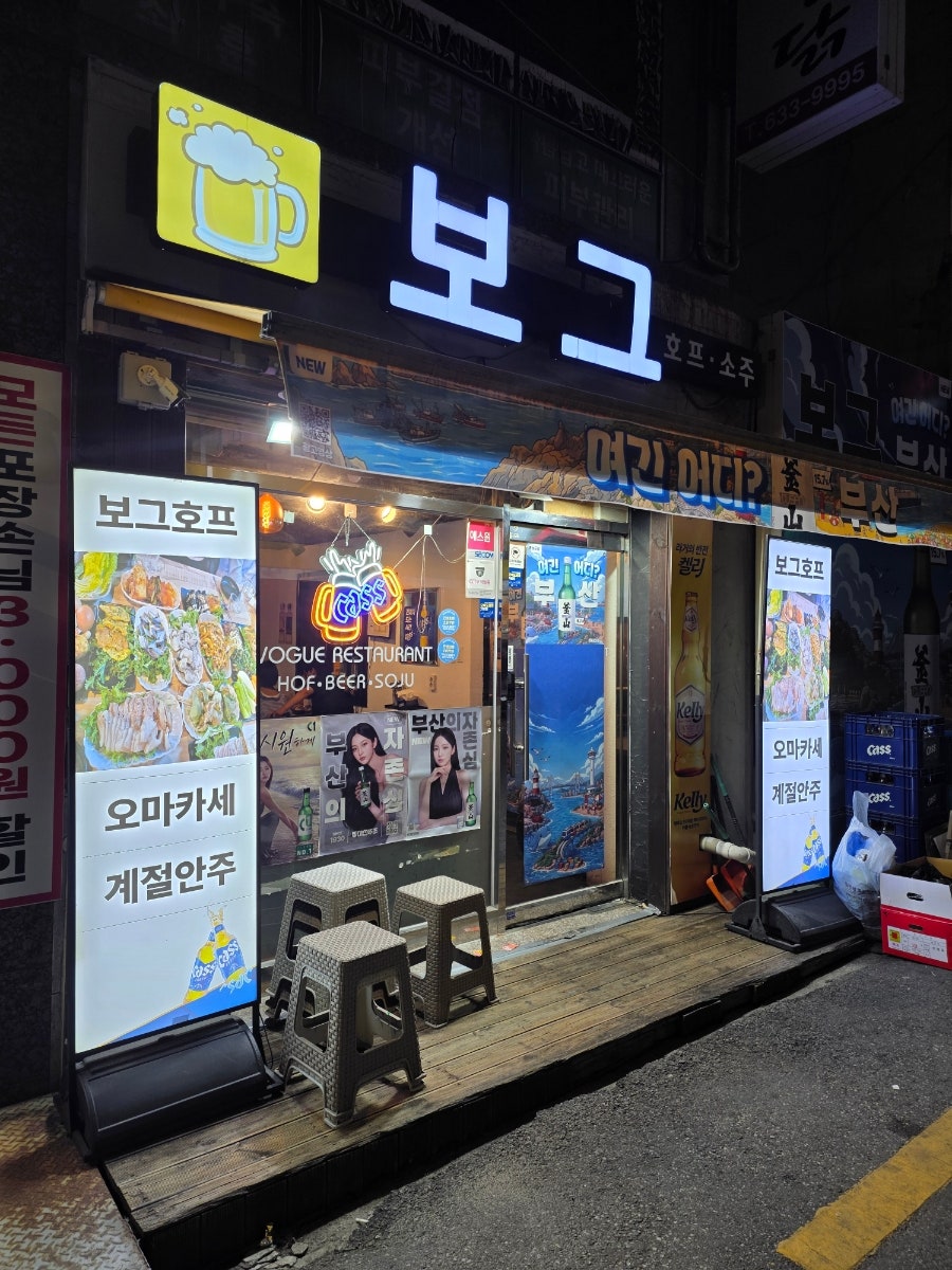 보그 사진 1