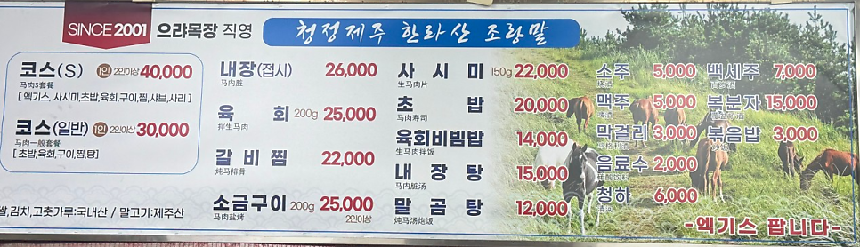 한라산조랑말 사진 4