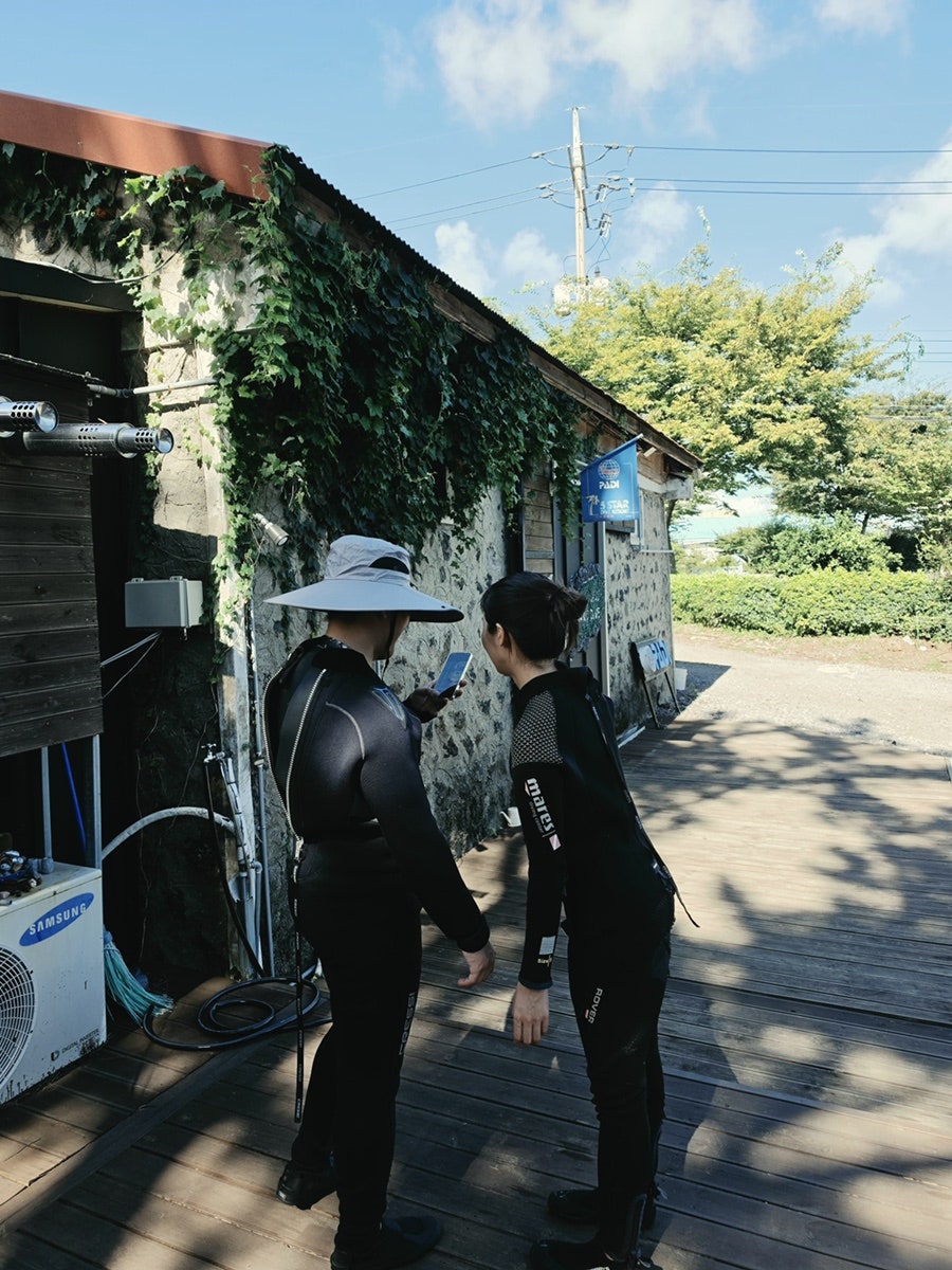섶섬 사진 5