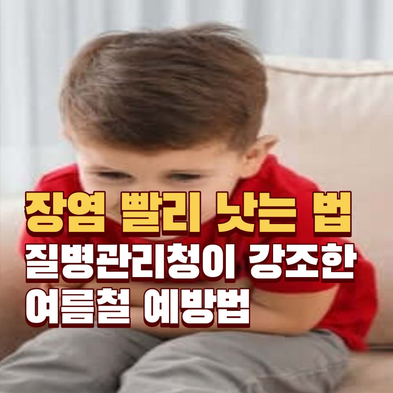 장염 빨리 낫는 법 7가지, 여름철 세균성 장염 급증…지금 가장 중요한 것은?