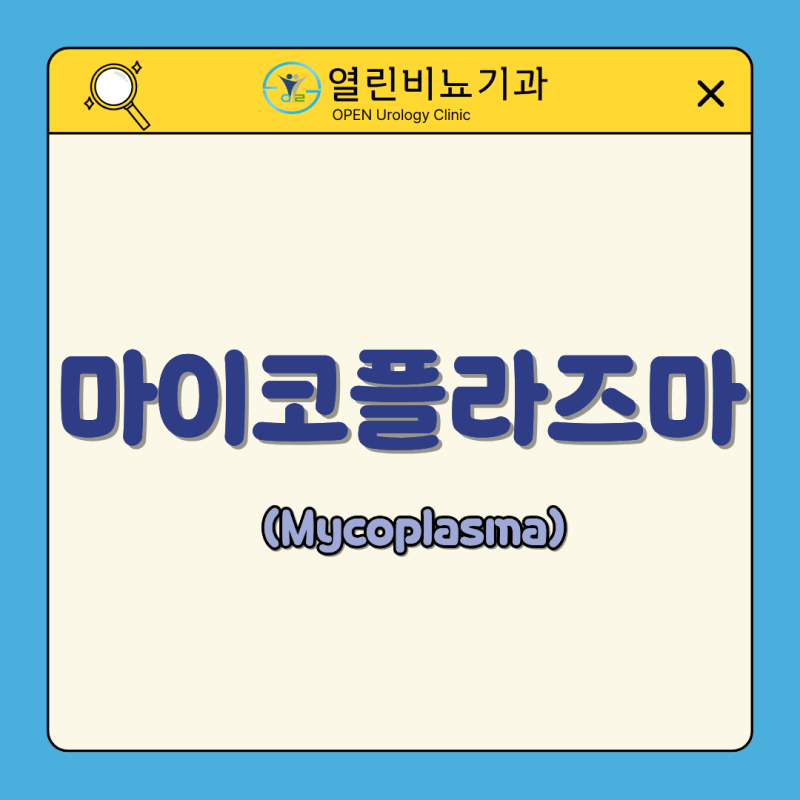 성북구 길음동 마이코플라즈마(Mycoplasma genitalium·Mycoplasma hominis) 감염, 증상부터 검사와 치료....