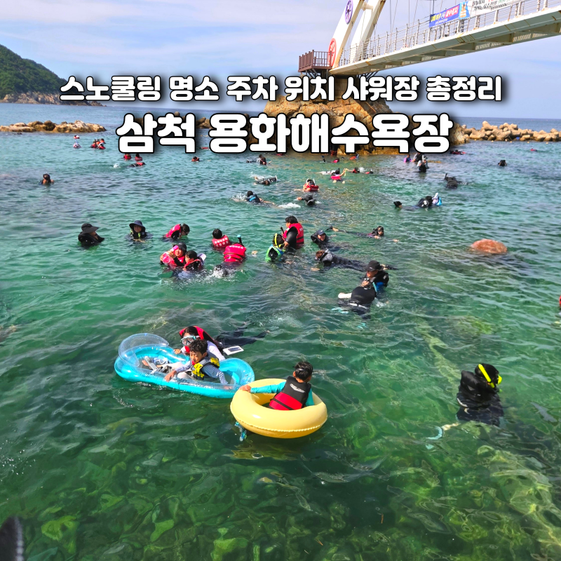 삼척 용화해수욕장 스노쿨링 주차 위치 샤워장 총정리