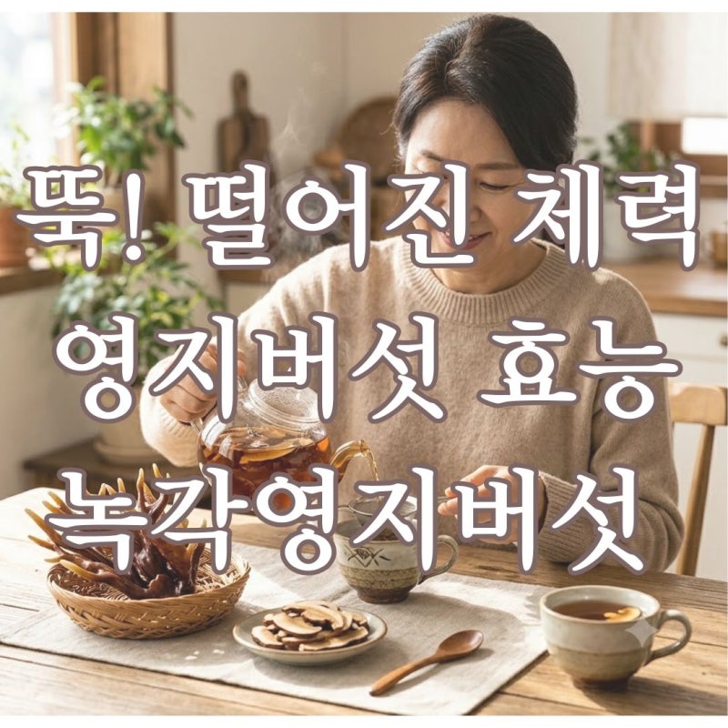 [영지버섯 먹는방법] 뚝 떨어진 체력 달래는 녹각영지버섯 효능