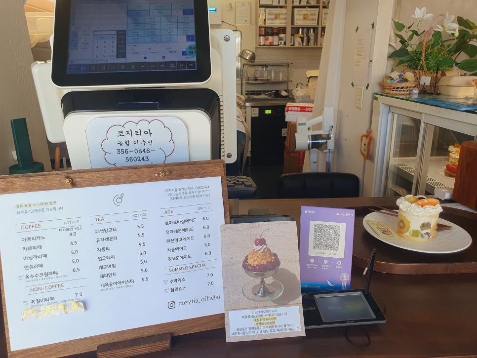 코지티아 사진 4