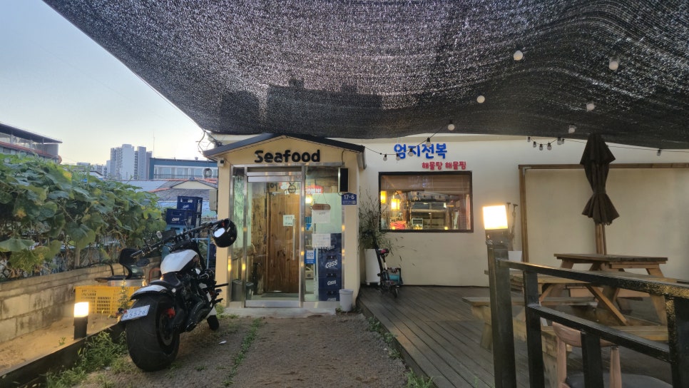 엄지전복 사진 2