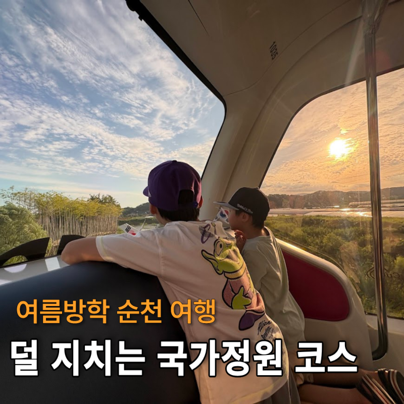 여름방학 순천 아이와 갈만한 곳, 순천만국가정원 야간권 본전 뽑기