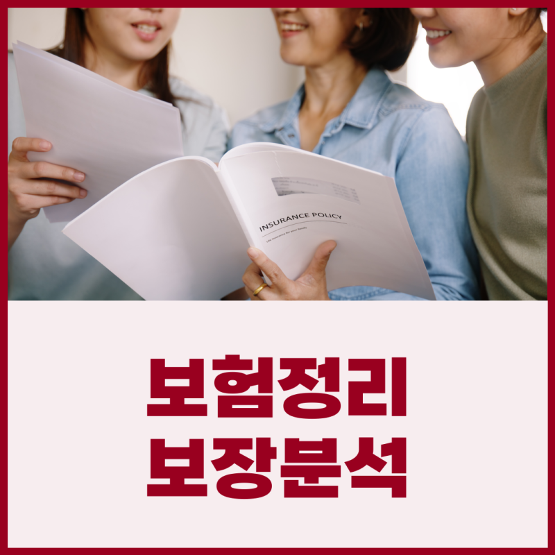 내보험다보여와 내보험찾아줌에서 가입한 보험을 조회하고 정리한 과정