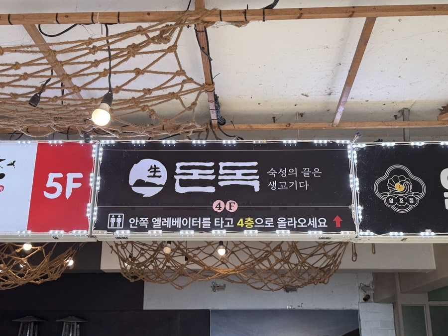 돈독 사진 4