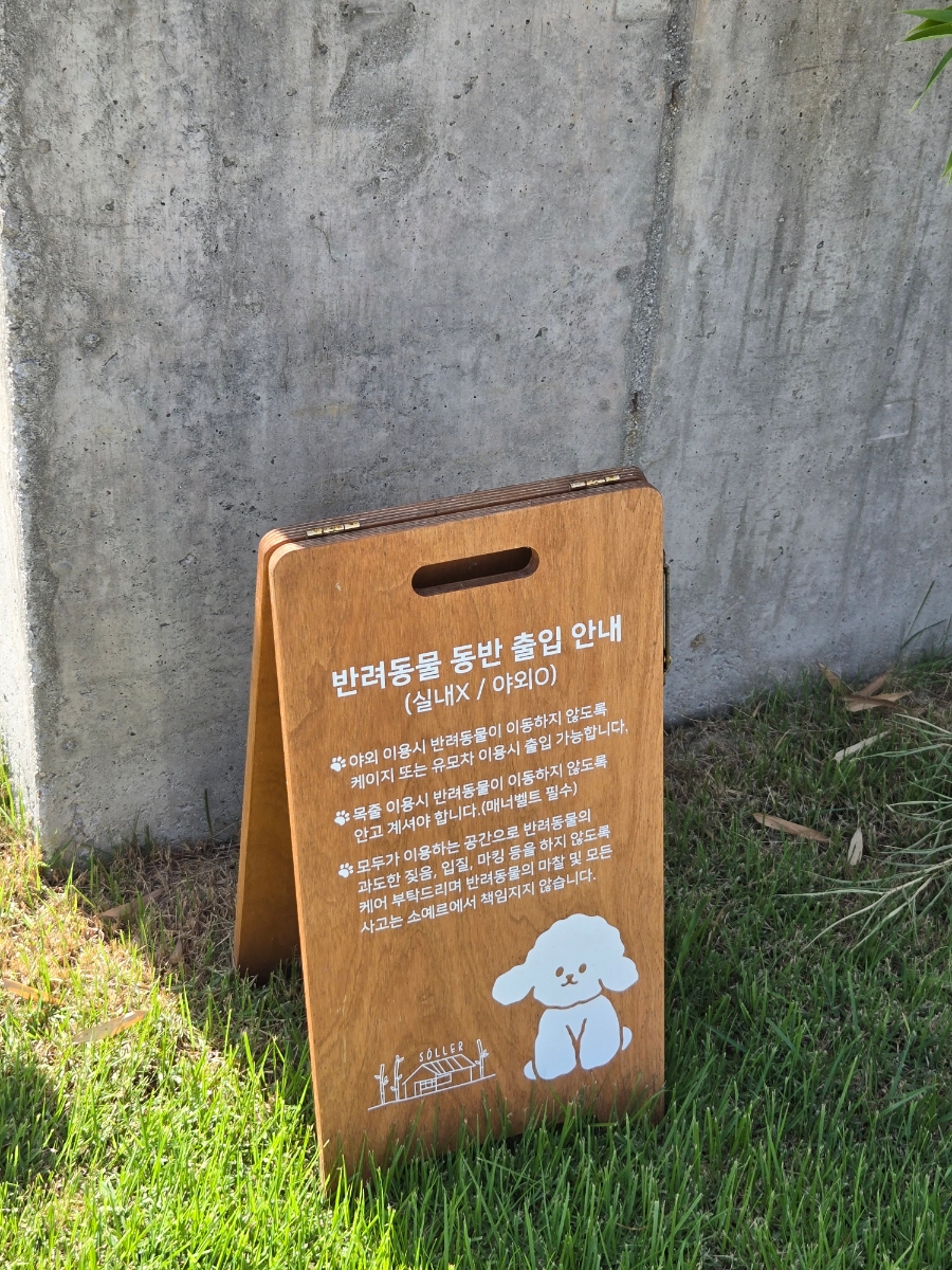 밤부 사진 5