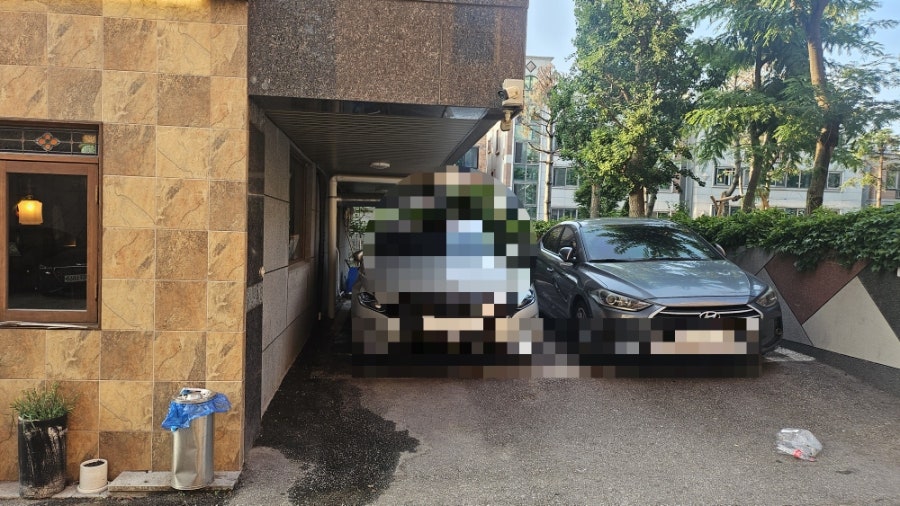 덕자 사진 2