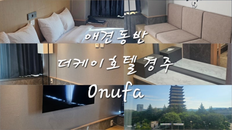 경주 더케이호텔 펫프랜들리 디럭스룸 애견동반 4성급 호텔