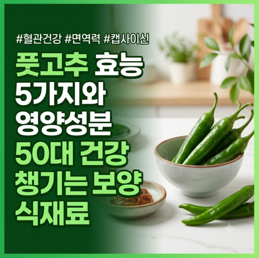 풋고추 효능 5가지와 영양성분, 50대 건강 챙기는 보양 식재료