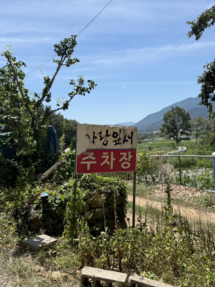 가랑잎새 사진 4