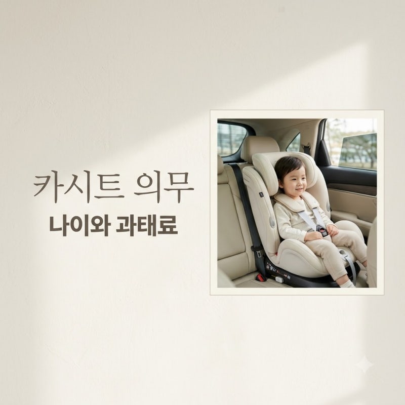 카시트 의무 법적 나이 6세인 줄 알았는데 아니더라