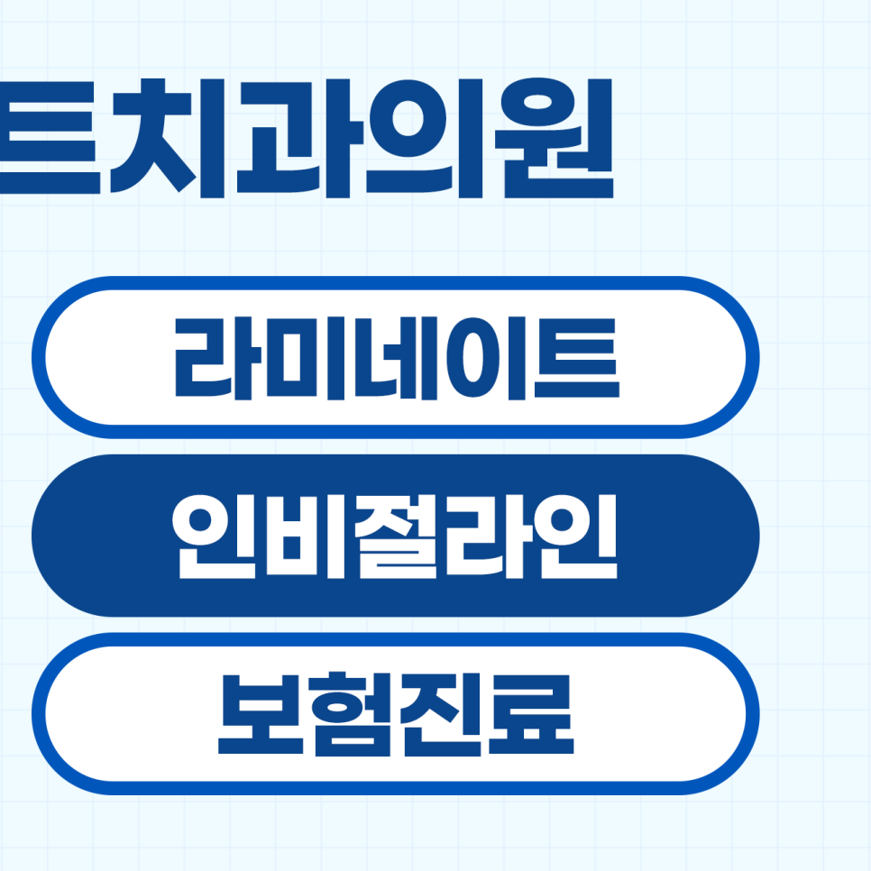 플란트 사진 3
