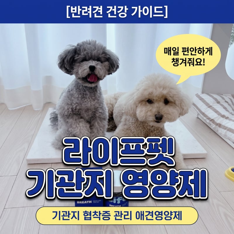 강아지 기관지 영양제 강아지 기관지협착증 관리 애견영양제