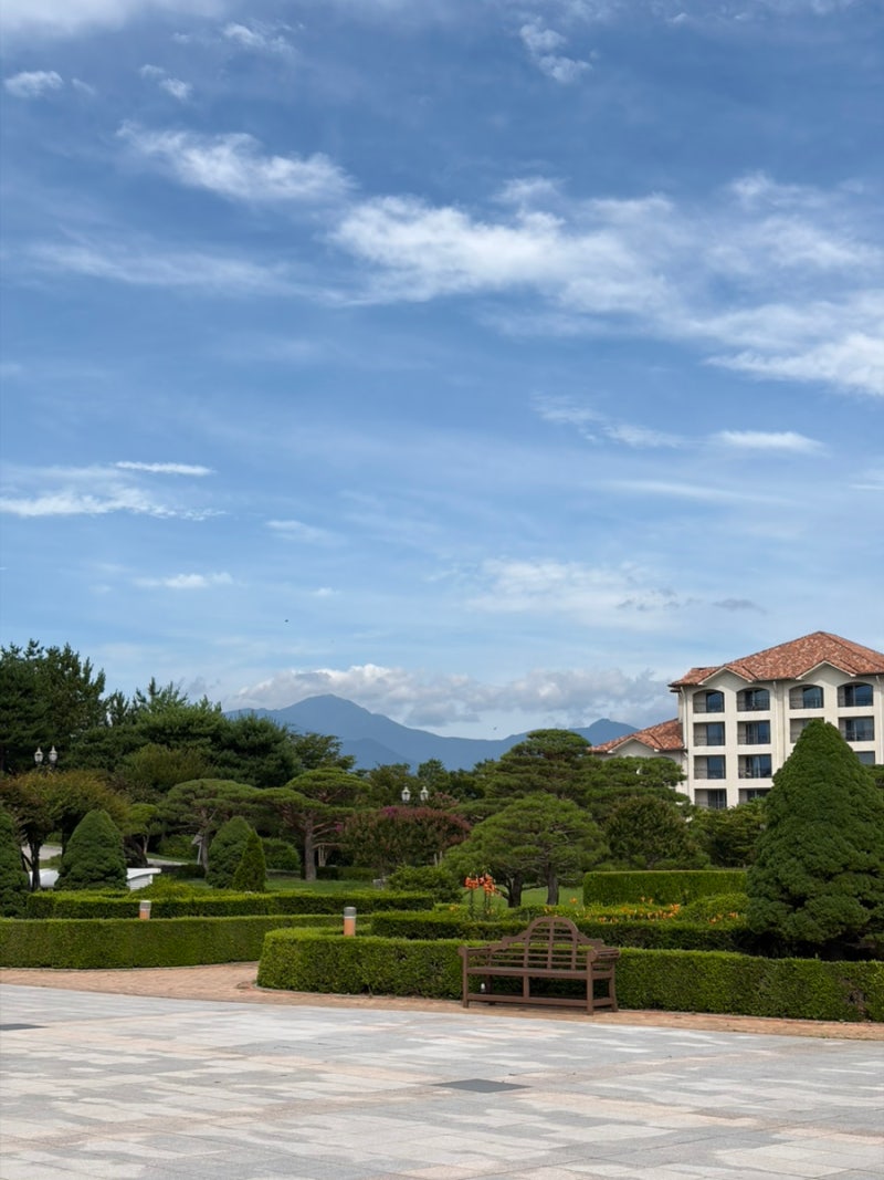 [아이랑 양양여행] Day 1(오션플레이 양양, 낙산바람꽃해녀마을, 쏠비치양양 슈페리어 스탠다....