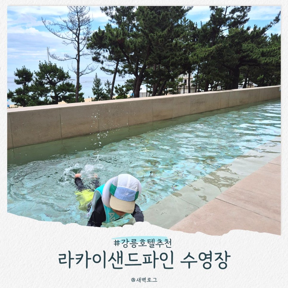 라카이샌드파인 사진 1