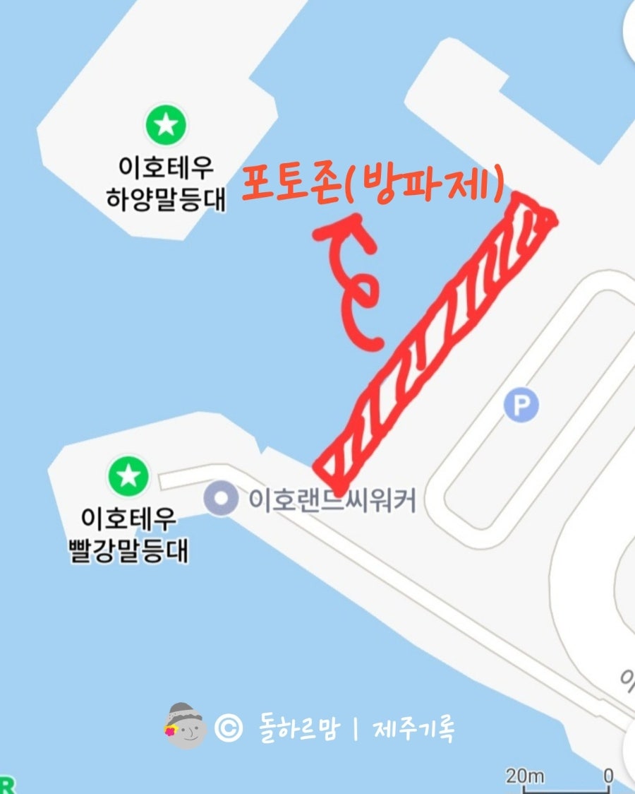 에귤타르트 사진 3