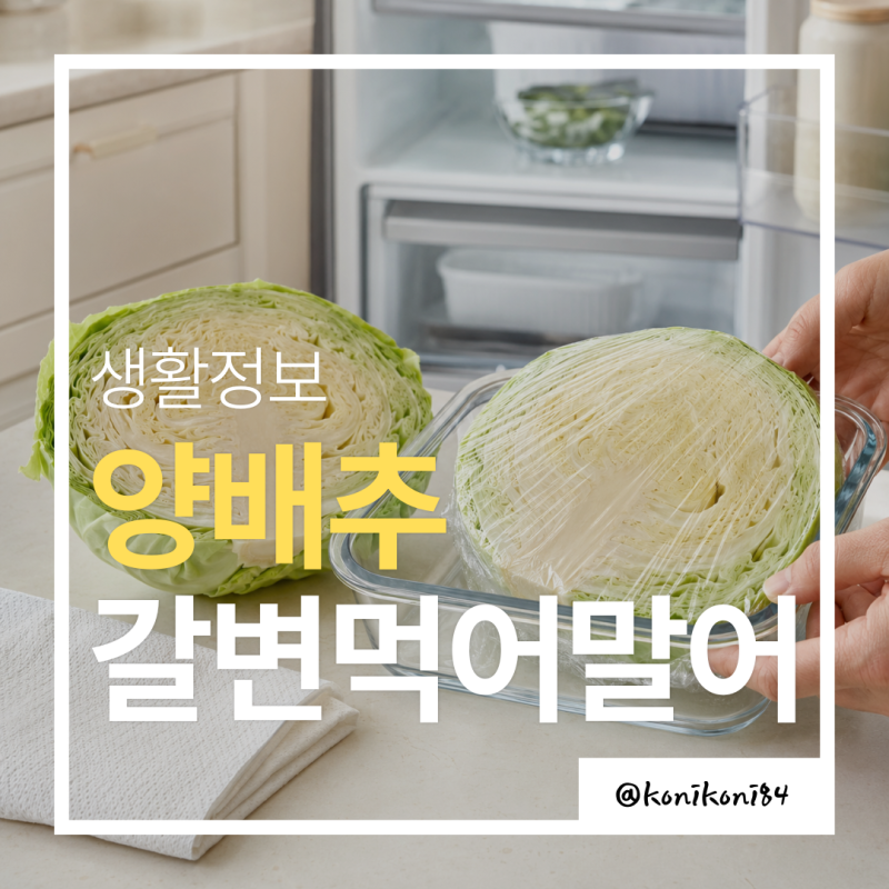 양배추 보관법 | 잘라둔 단면이 까매졌다면, 먹어도 되는 걸까?