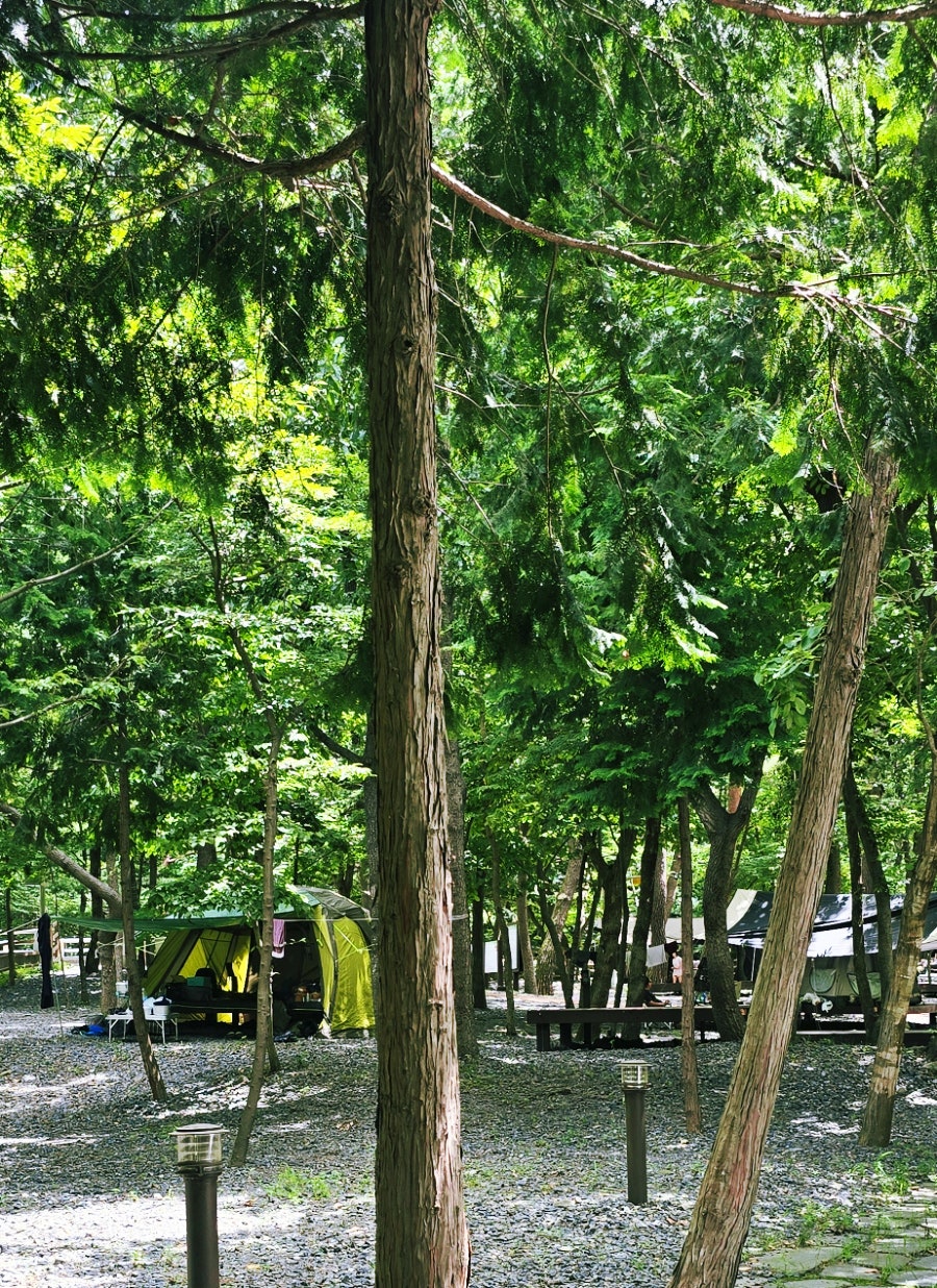 성주산자연휴양림 사진 5