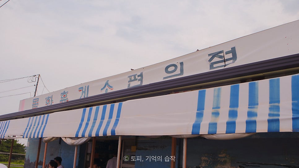 반건조오징어 사진 2