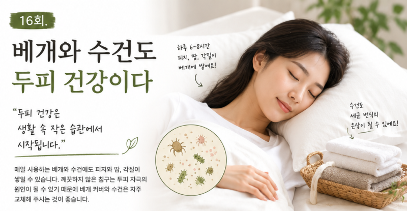 16회. 베개와 수건도 두피에 영향을 줄까? 놓치기 쉬운 두피 위생관리