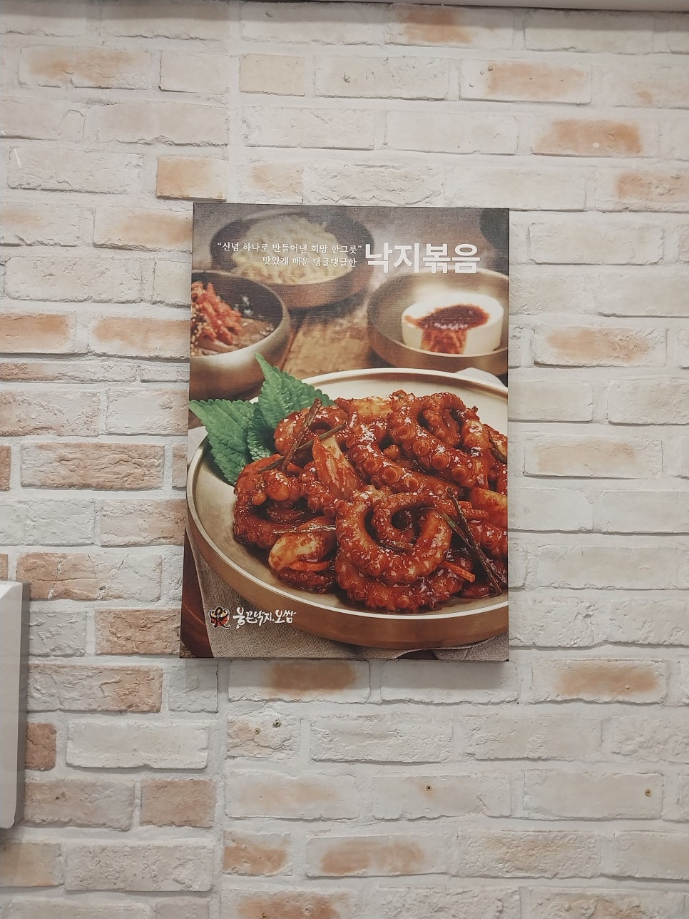 불끈낙지 송정점 사진 6