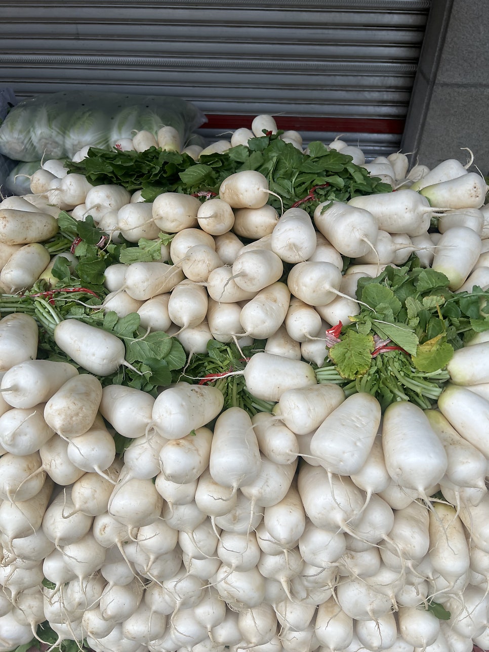 진주식당 사진 3