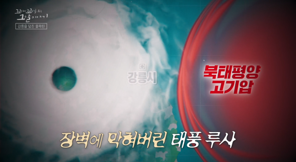 사라 사진 4