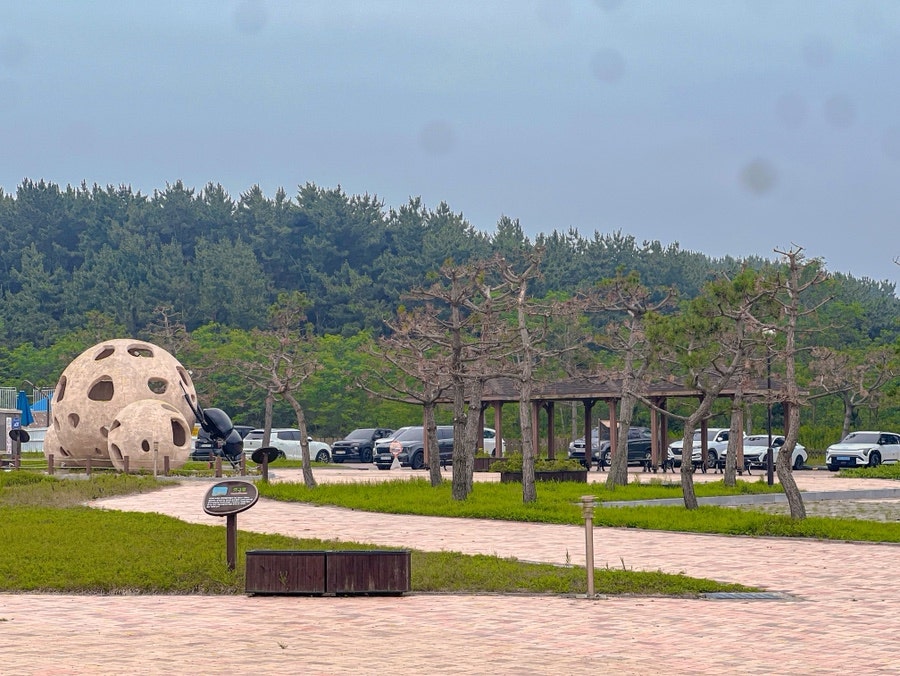 신두리해수욕장 사진 4