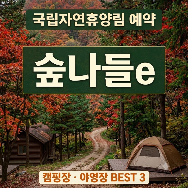국립자연휴양림 예약 숲나들e 유명산.대관령.장태산 캠핑장.야영장추천