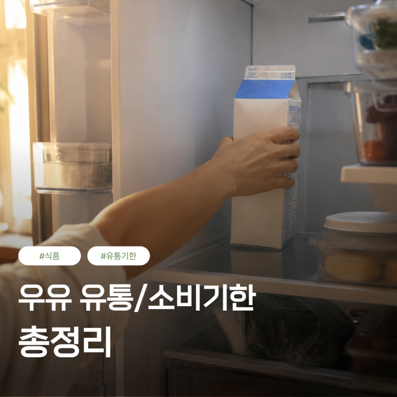 우유 유통기한 지나면 못 먹나요? 소비기한 차이부터 판별법까지