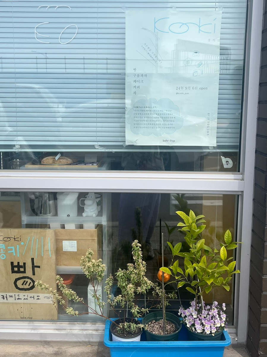 콩키 사진 2