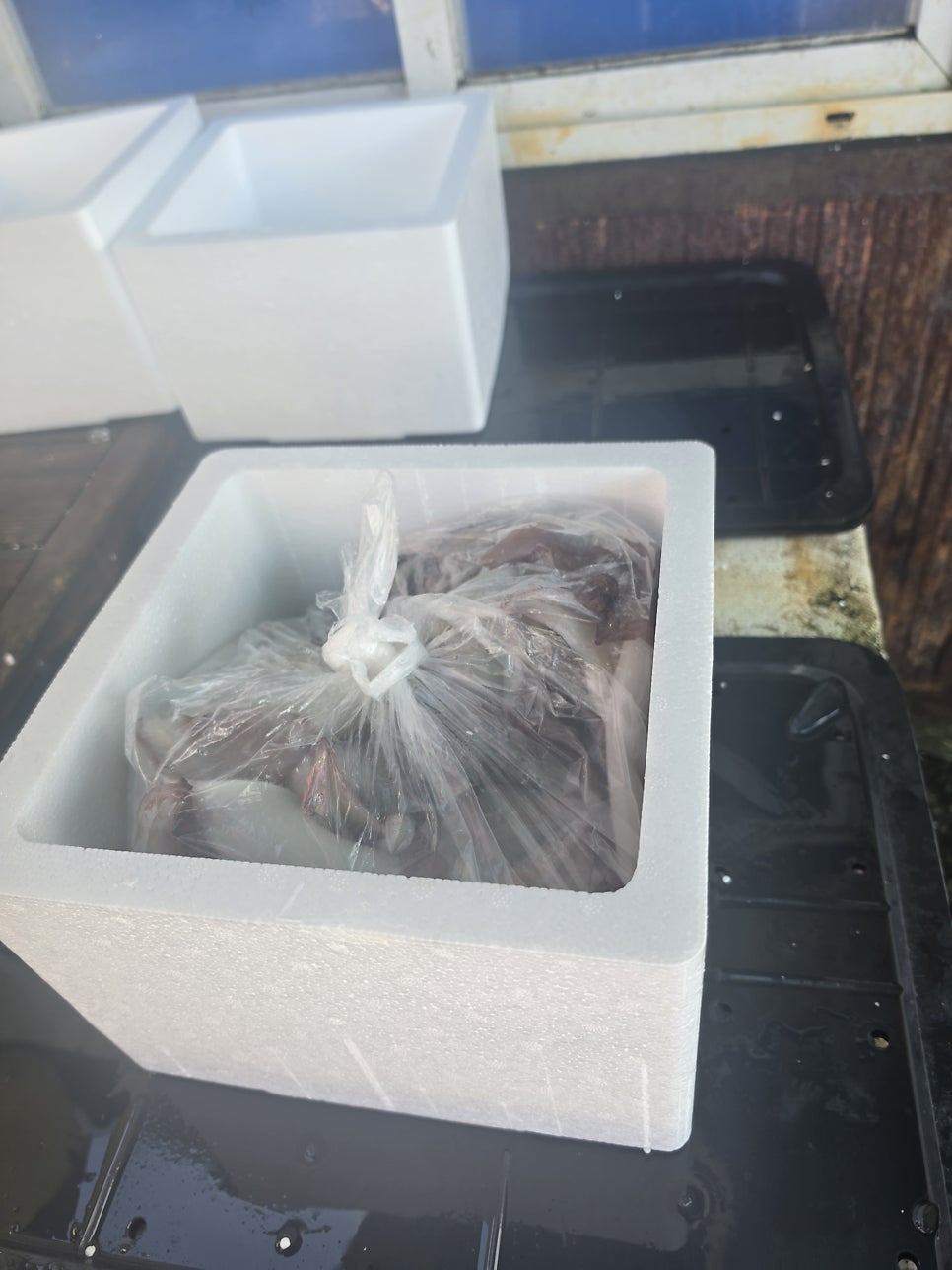 희망수산 사진 5