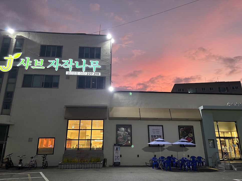 샤브자작나무 사진 1