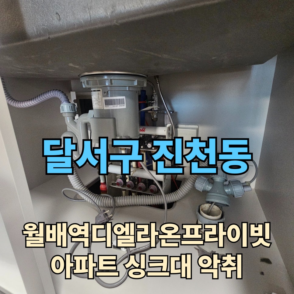 라온 사진 1