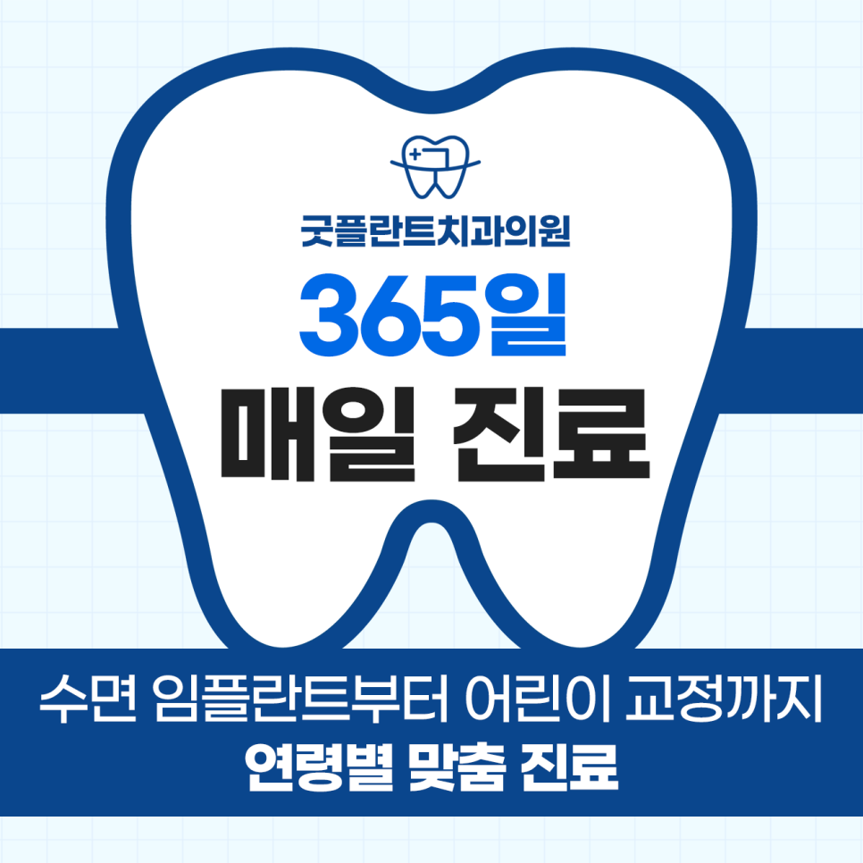 플란트 사진 1