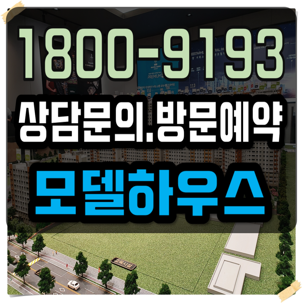 스타 사진 1