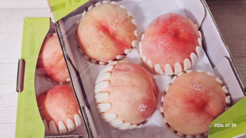 복숭아 보관, 냉동도 가능?