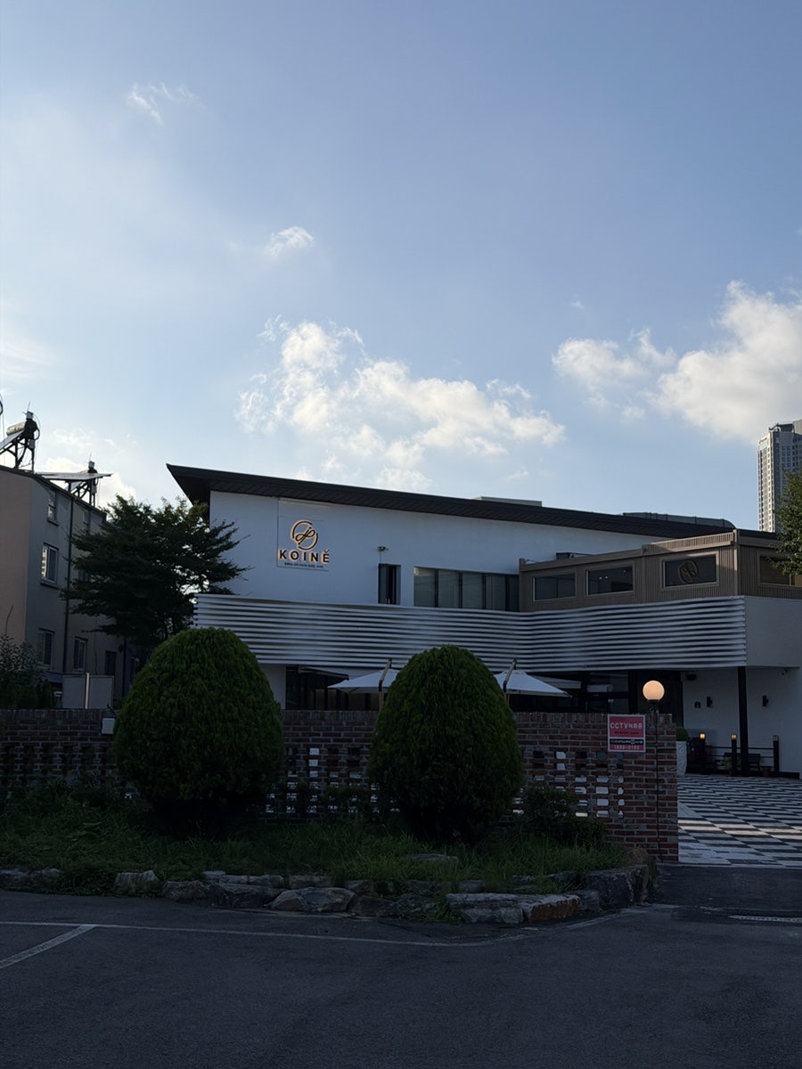 코이네 사진 1