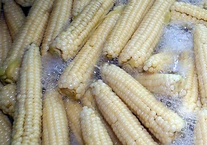 극한직업 옥수수 괴산 두천농장 대학찰옥수수 택배 주문