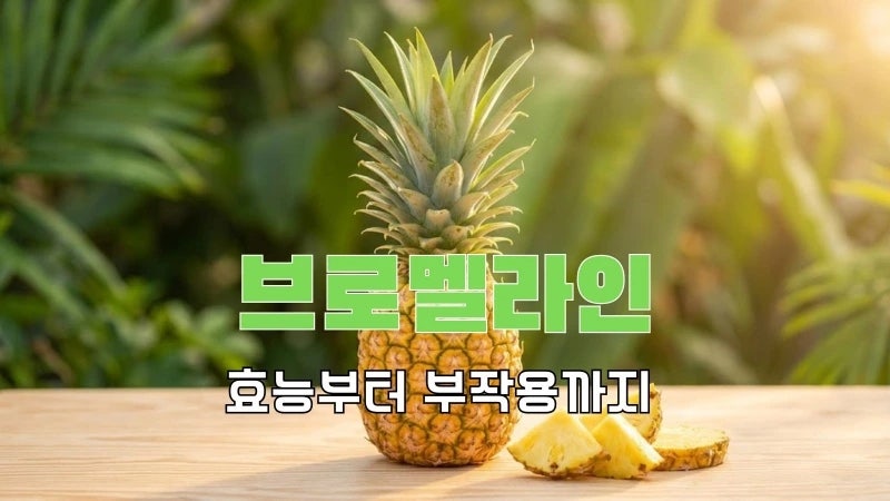 브로멜라인 효능과 부작용, 퀘르세틴 조합부터 비문증 영양제까지 총정리