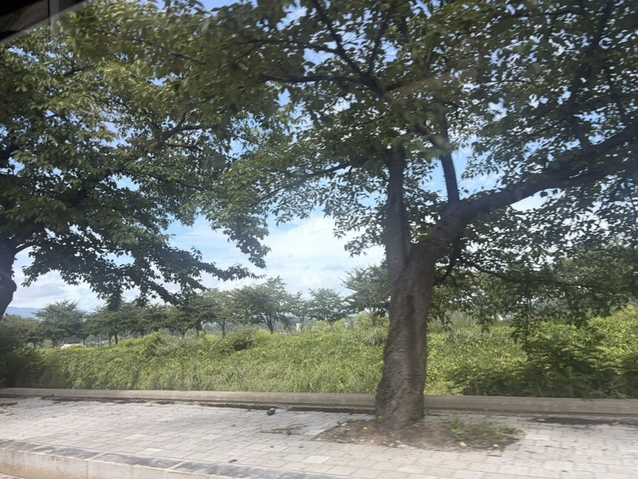 빨간삼겹살 사진 1