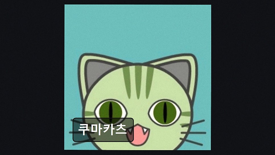 쿠마카츠 사진 4