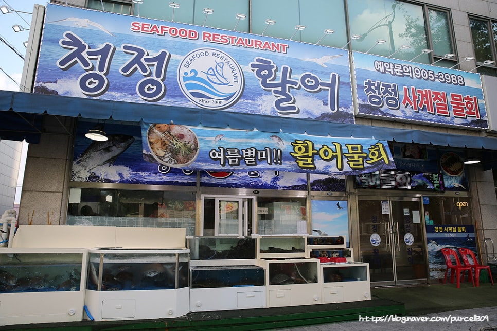 청정활어 사진 1